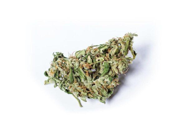 Fleur de cbd Amnesia Haze