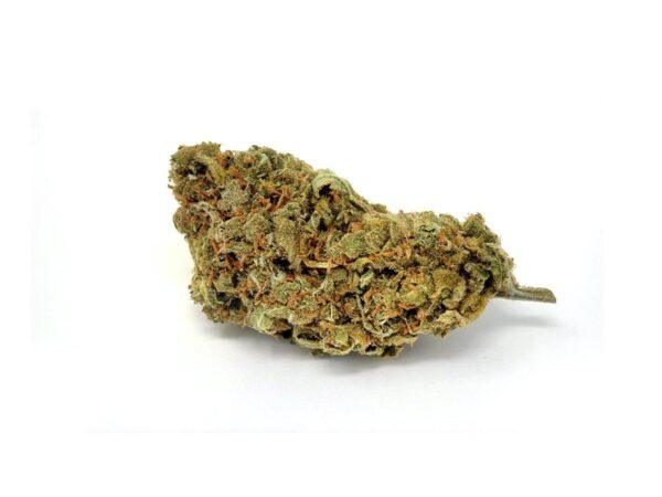 Fleur de cbd Orange Bud